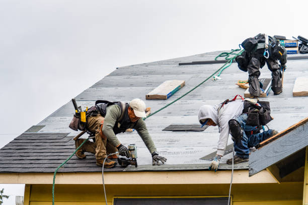 Professional Storm Damage Roof Repair technician working in Hollins, AL